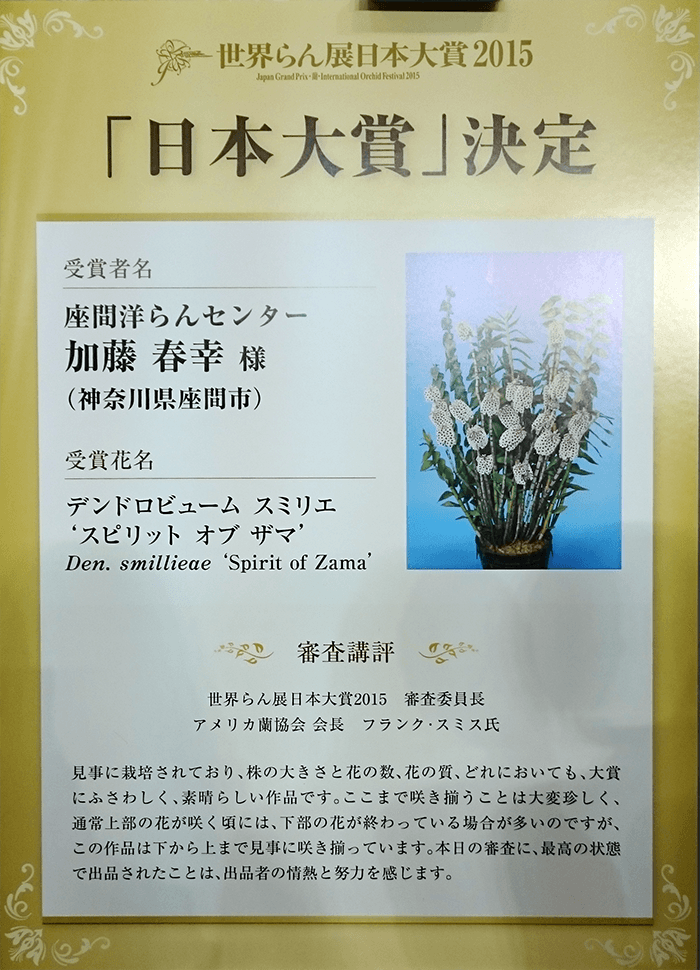 祝！世界らん展”日本大賞”受賞 in 東京ドーム その2 - 胡蝶蘭産地直送 